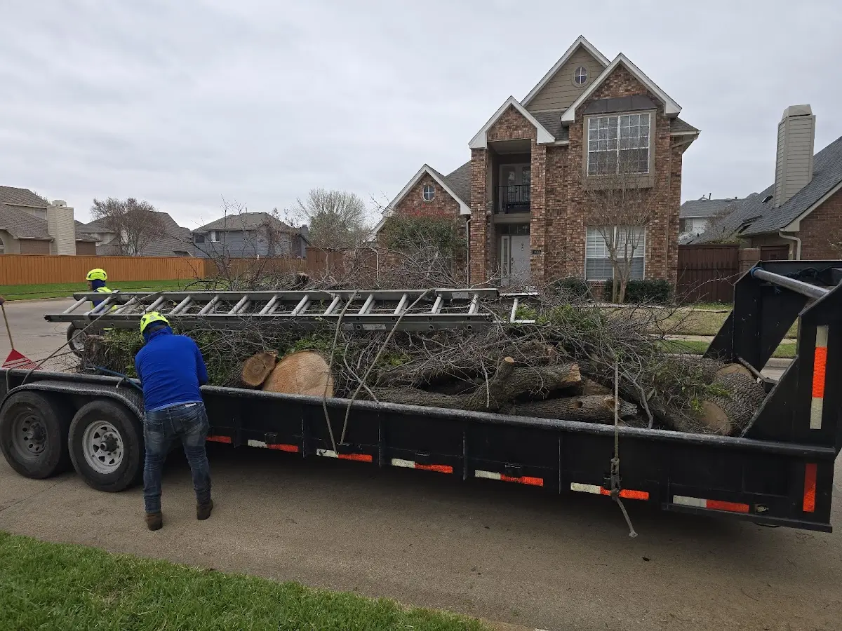 Expert Tree Removal with proper safety equipment in Centerburg